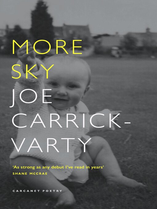 Title details for More Sky by Joe Carrick-Varty - Available